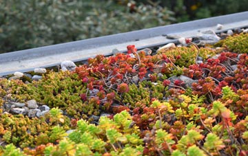 the cost of Jarvis Brook green roof installation