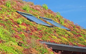 Jarvis Brook living roof systems