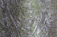 Jarvis Brook fibreglass roof work